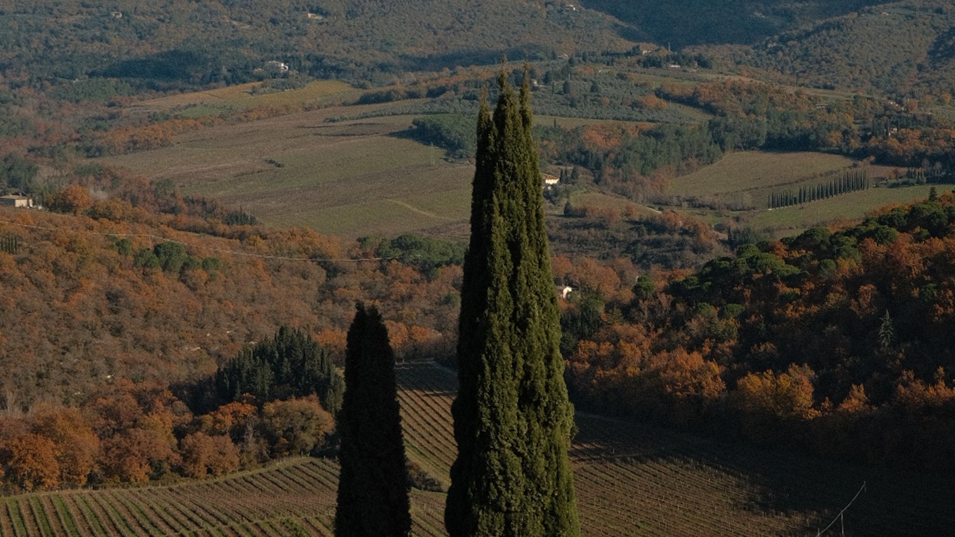 Chianti Rùfina: Tuscany’s Quietest Serious Wine Region